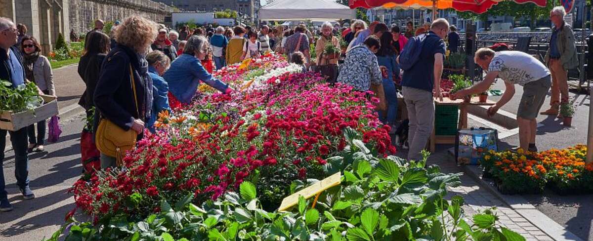 Marché de la fleur d’automne : Dimanche 8 octobre 2023