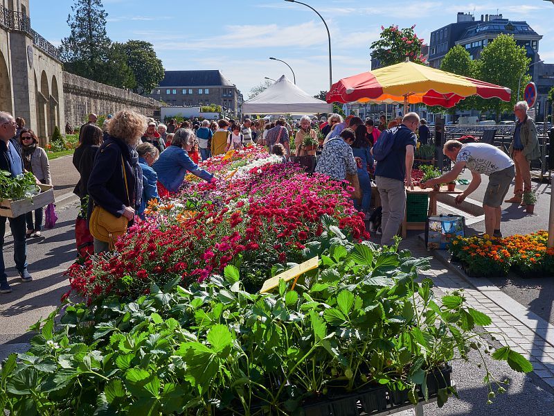 Marché de la fleur d’automne : Dimanche 8 octobre 2023
