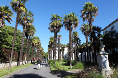 Le jardin paysager de l'hôpital Gourmelen