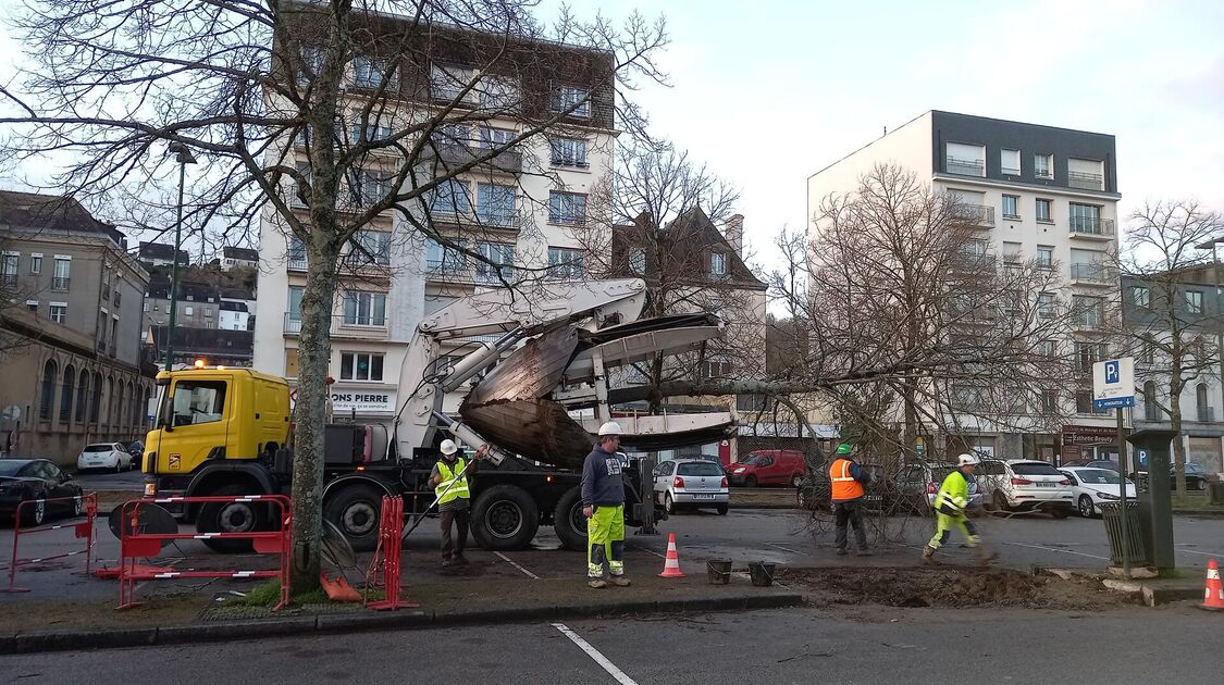 Gare-Parc : transplantation d’arbres au Corniguel