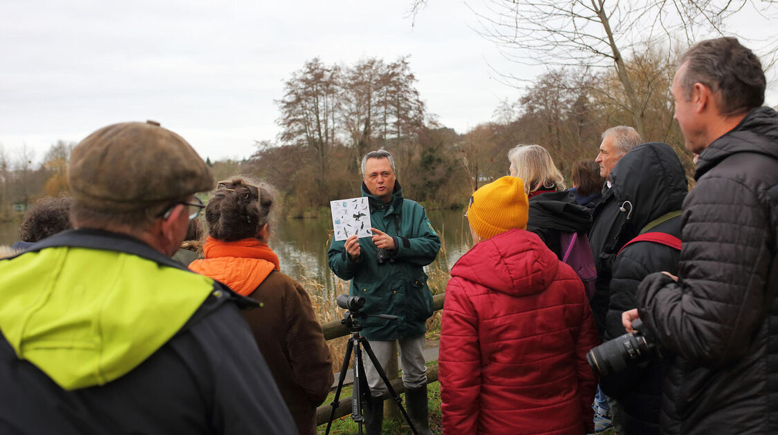 Sortie nature dans la baie de Kerogan à la découverte des oiseaux d'eau