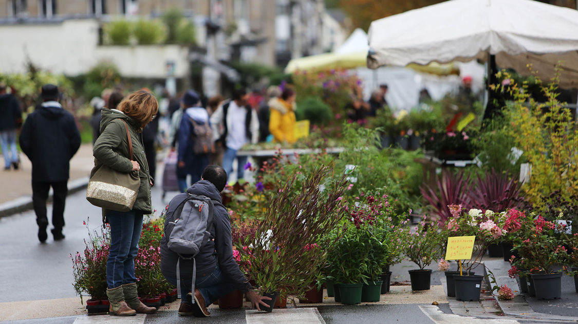 MARCHE AUTOMNE 2019 0002