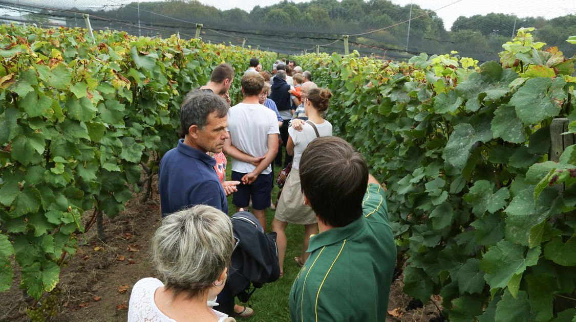 Journées-du-patrimoine-2014-(23)