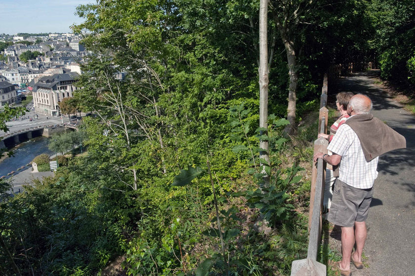 [30 ans après]  Visite guidée – Lecture de paysage   Le Frugy, trois décennies depuis la tempête