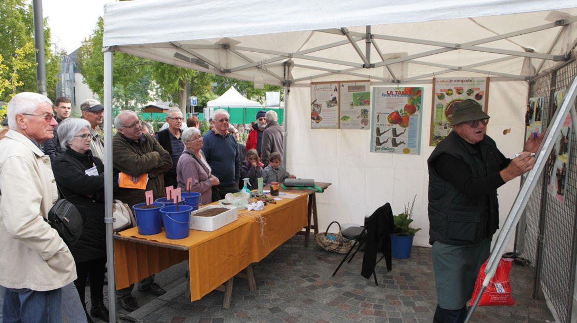 Marché de la fleur d automne 2014 (3)