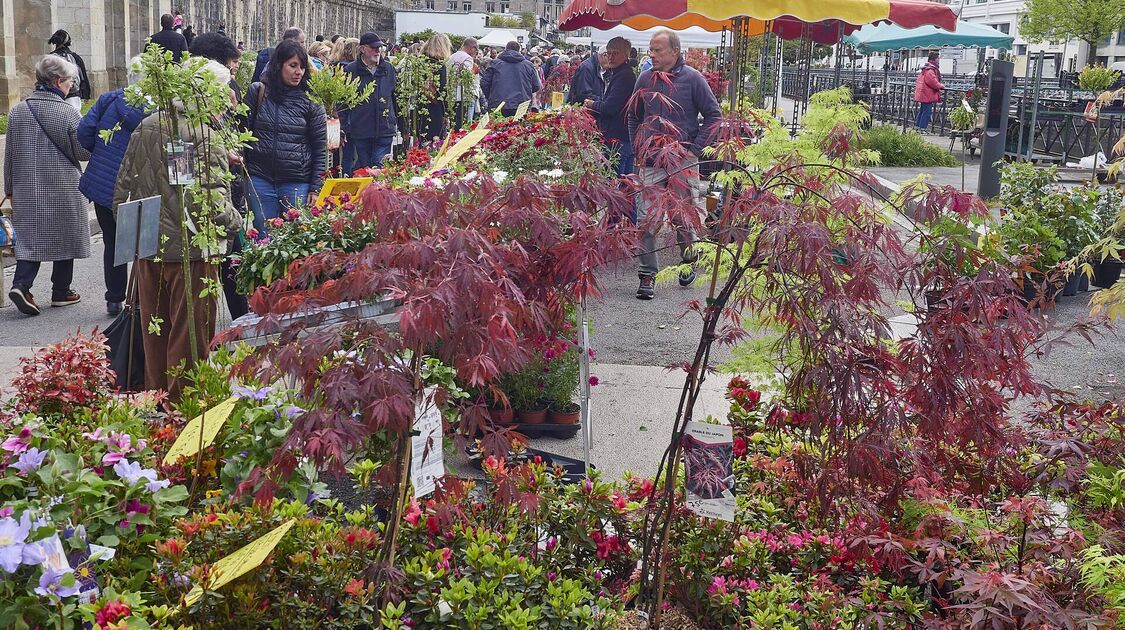 Marché de la fleur d'été 2024