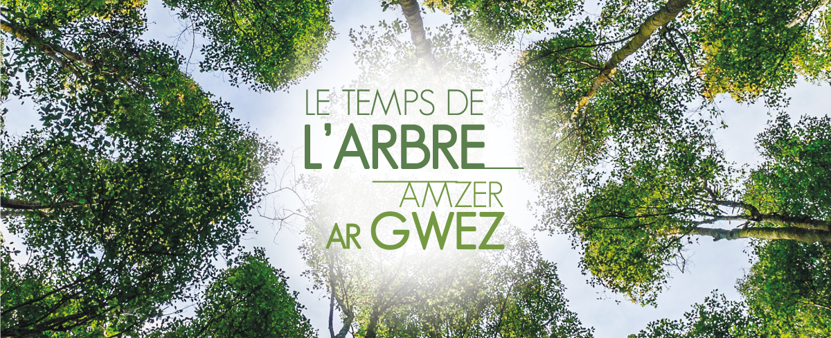 Le temps de l'arbre : 6e édition du festival durant tout le mois d’octobre