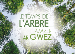 Le temps de l'arbre : 6e édition du festival durant tout le mois d’octobre