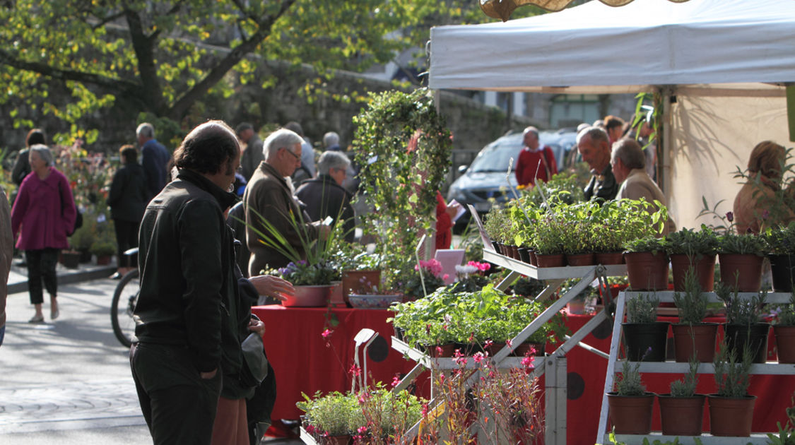 Marché de la fleur d automne 2014 (16)