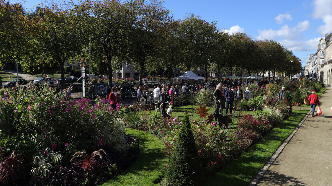 Marché de la fleur - 2 octobre 2016 (2)