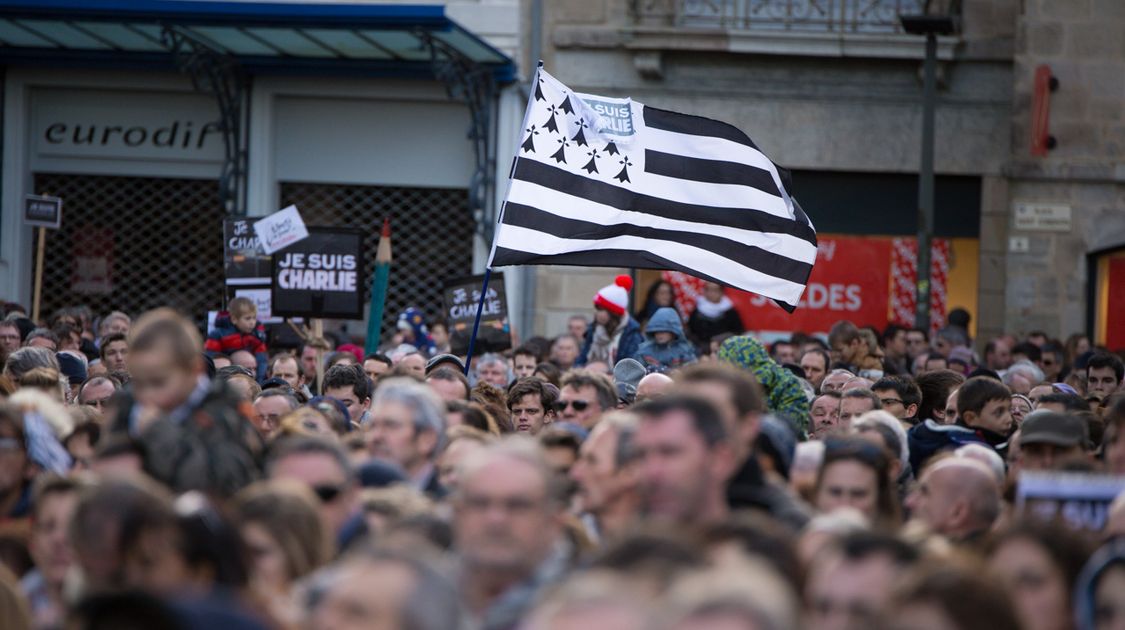 Rassemblement des Charlie le 11 janvier 2015 (7)