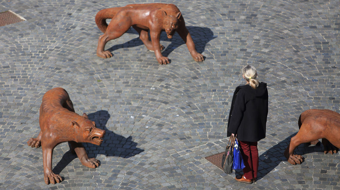 Exposition Les loups arrivent au bout du monde (15)