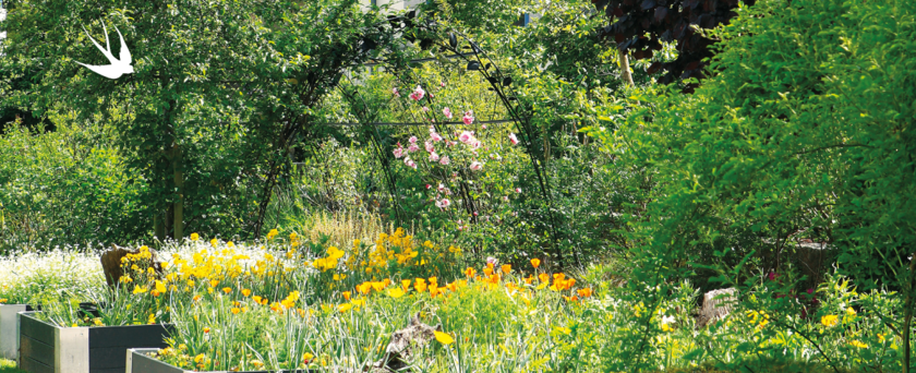 Le printemps de la nature : Du 20 mars au 21 juin 2025