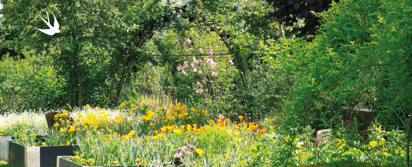 Le Printemps de la Nature : du 20 mars au 20 juin 2024