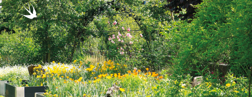 Le printemps de la nature : Du 20 mars au 21 juin 2025