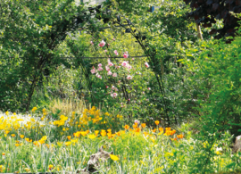 Le Printemps de la nature : du 20 mars au 21 juin 2026
