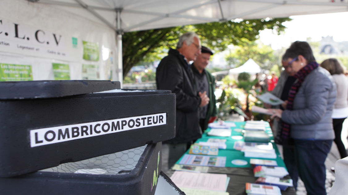 Marché de la fleur d automne 2014 (19)