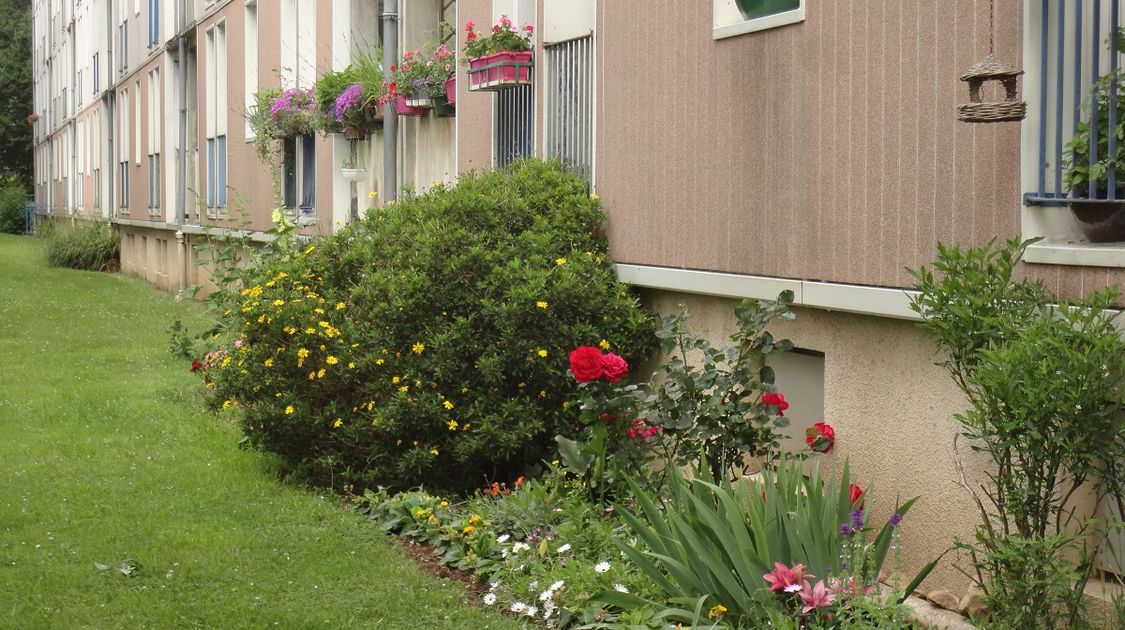 Catégorie 3 - Balcons, terrasses, fenêtres, petits jardins très visible de la rue - 3ème prix - Julia Puloc