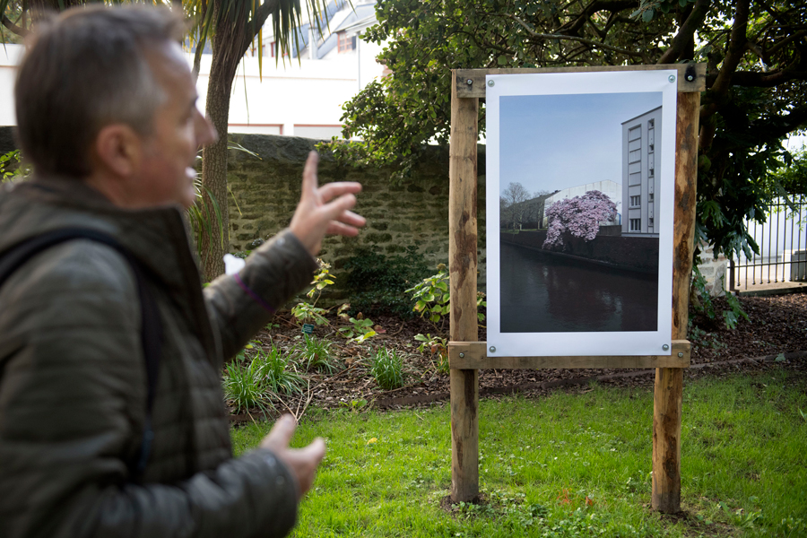 Festival "Le Temps de l'arbre" 2021