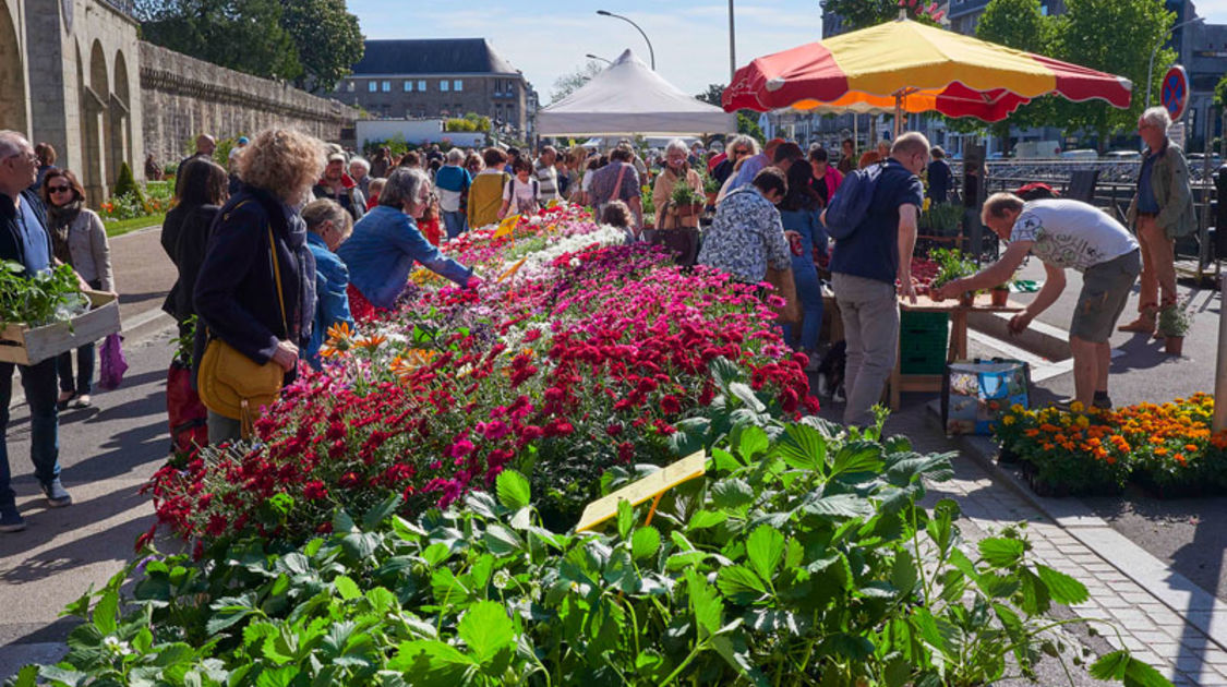 Marché de la fleur d'été 2022