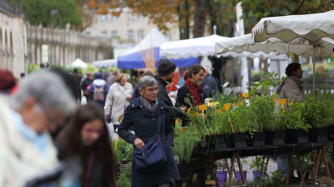 MARCHE AUTOMNE 2019 0018