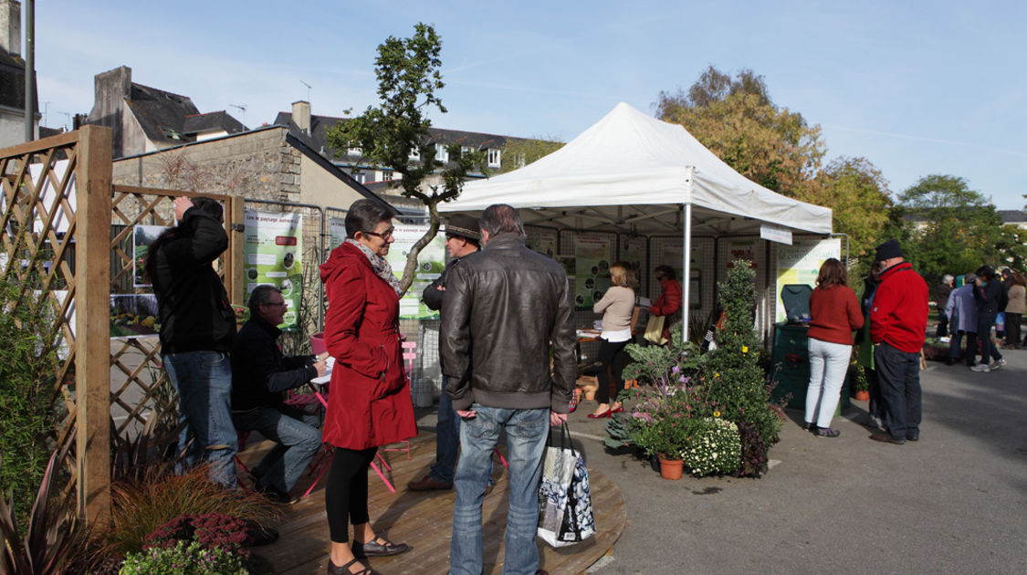 Marché de la fleur d automne 2014 (10)