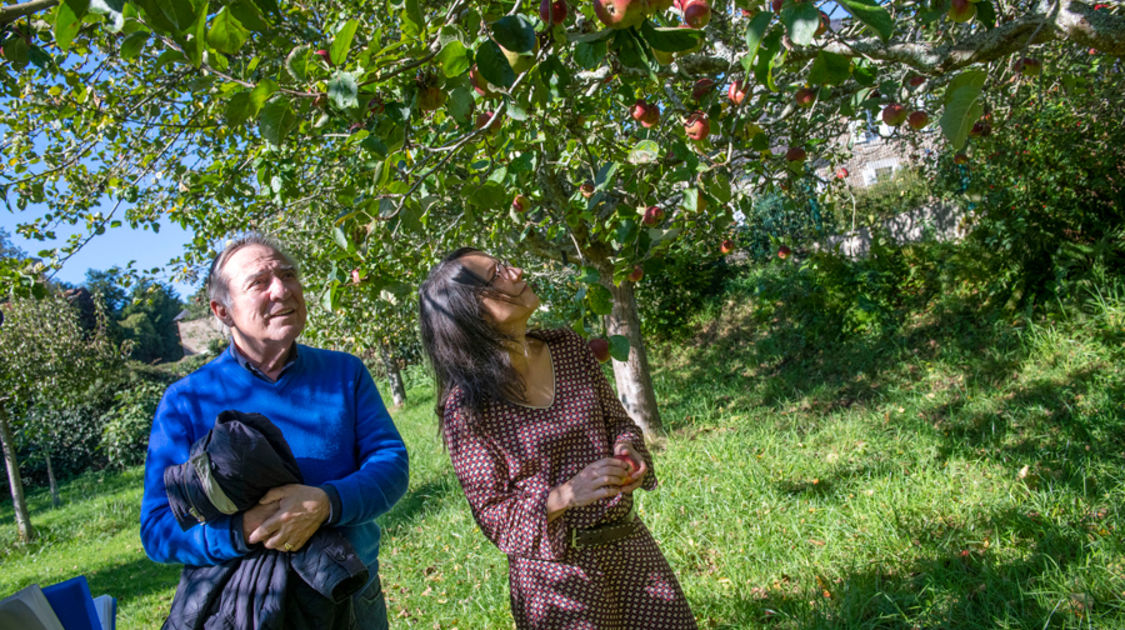 Festival "Le Temps de l'arbre" 2021 - Le Vallon Saint-Laurent