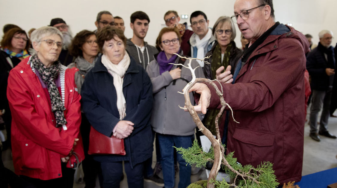 2e édition du salon Grandeur Nature consacré cette année aux bonsaï (6)