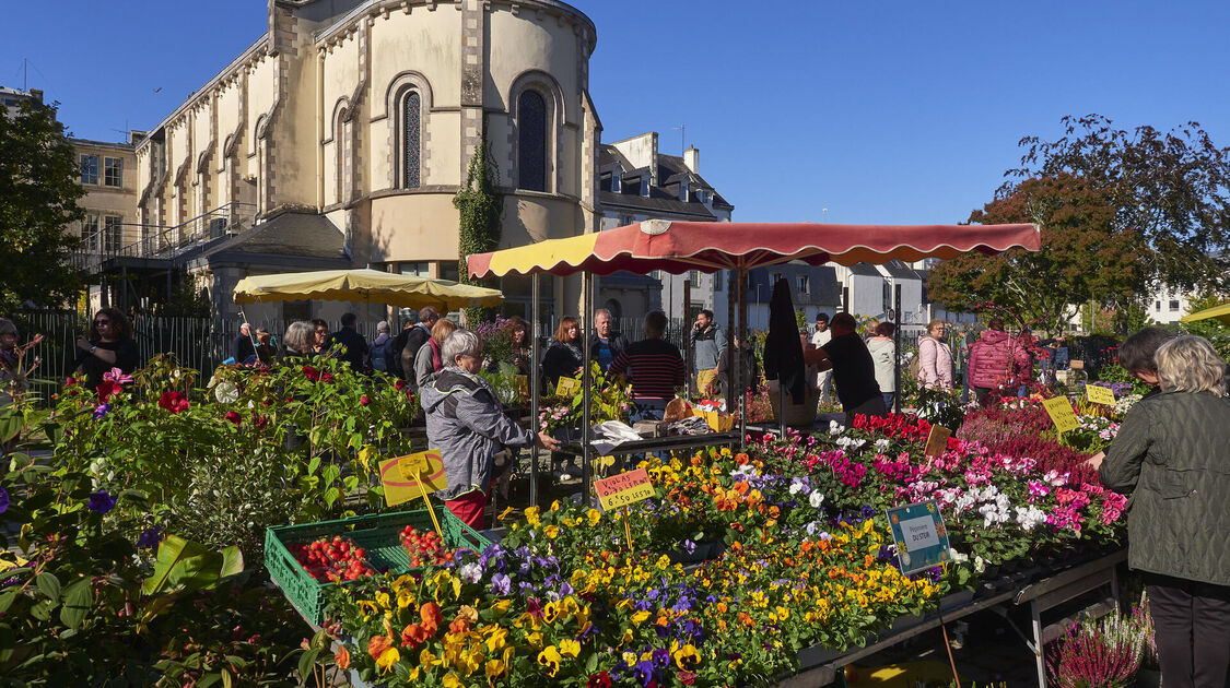 Marché de la fleur d'Automne 2025