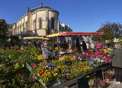 Marché de la fleur d'Automne 2025