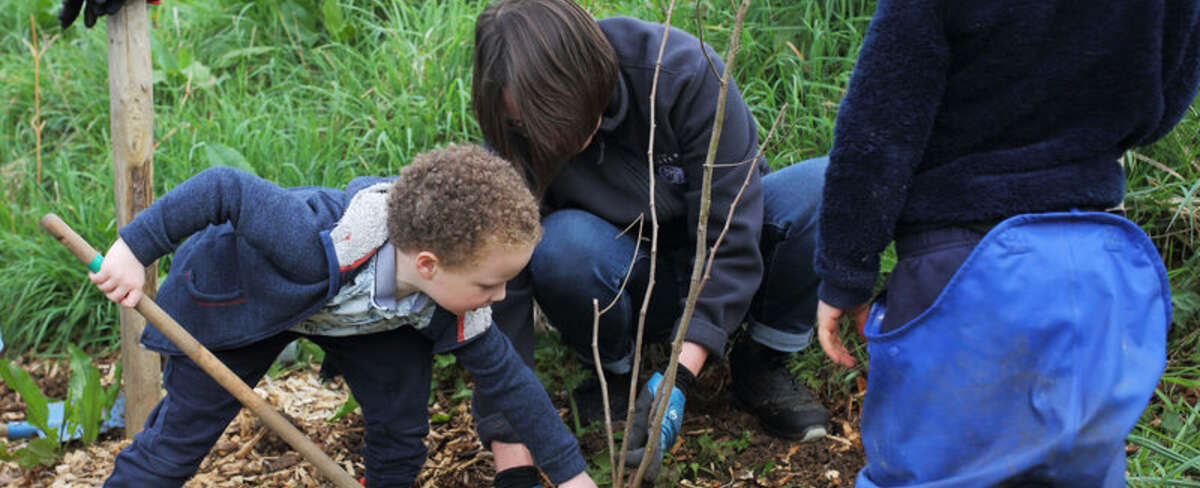 Des enfants & des arbres : Un programme d’animations 100% nature dimanche 11 octobre 