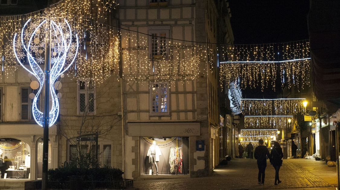 Les-illuminations-de-Noël-2015-(17)