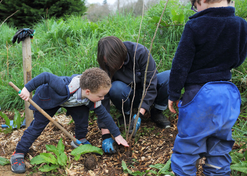 Des enfants & des arbres : Un programme d’animations 100% nature dimanche 11 octobre 