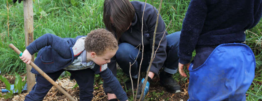 Des enfants & des arbres : Un programme d’animations 100% nature dimanche 11 octobre 