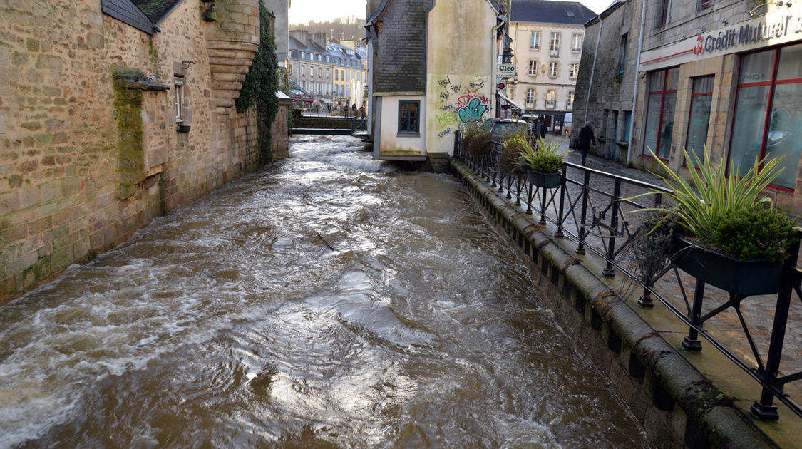 Inondation - Le Steir déborde - 7 février 2014 (1)
