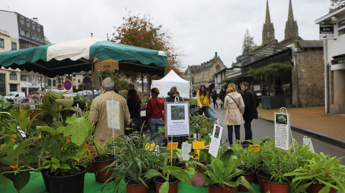 MARCHE AUTOMNE 2019 0001