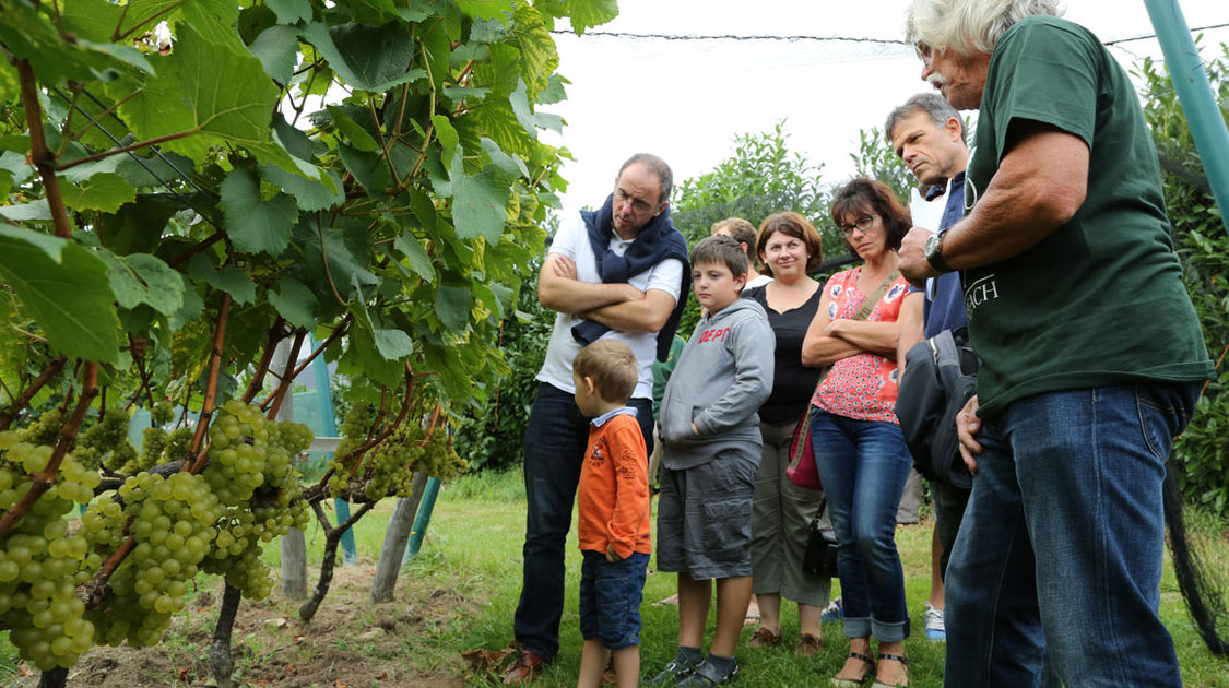 Journées-du-patrimoine-2014-(21)