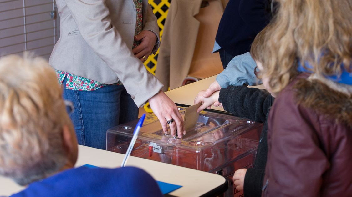 Premier tour des élections départementales 2015 (1)