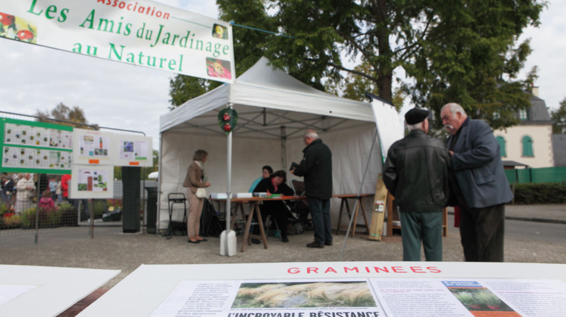 Marché de la fleur d automne 2014 (13)