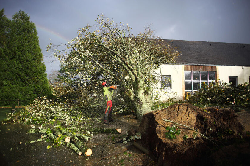 Suite de la tempête CIARAN : point d’avancement sur la réouverture des bois de Quimper