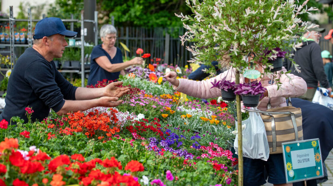 Marché de la fleur d'été 2026