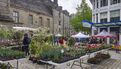 Marché de la fleur d'été 2024