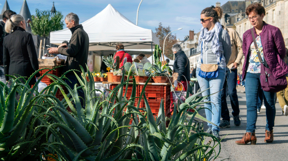 Marché de la fleur d’automne 2022