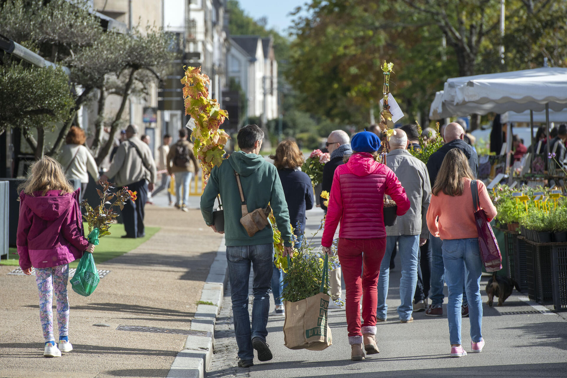 Marché de la fleur d’automne 2022