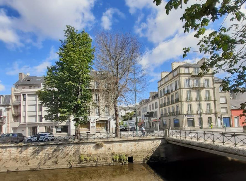 Quais de l’Odet : Coupe d’arbres malades et nouvelles végétalisations 