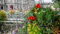 Label Ville Fleurie - Quimper conserve ses 4 fleurs (18)
