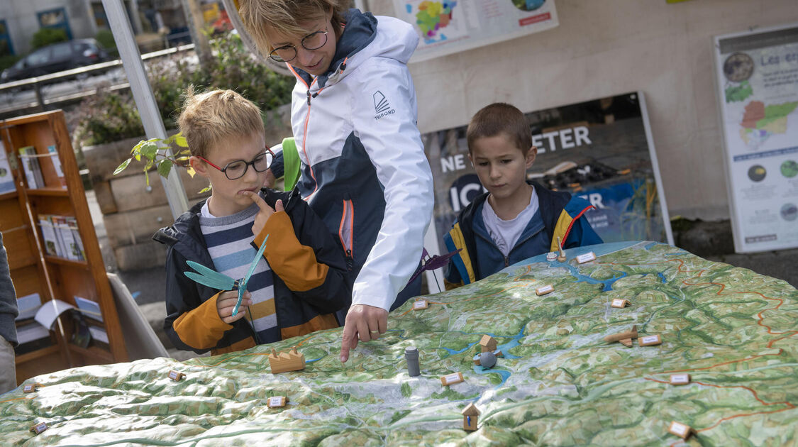 Marché de la fleur d’automne 2022