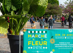 Marché de la fleur d'été 2026