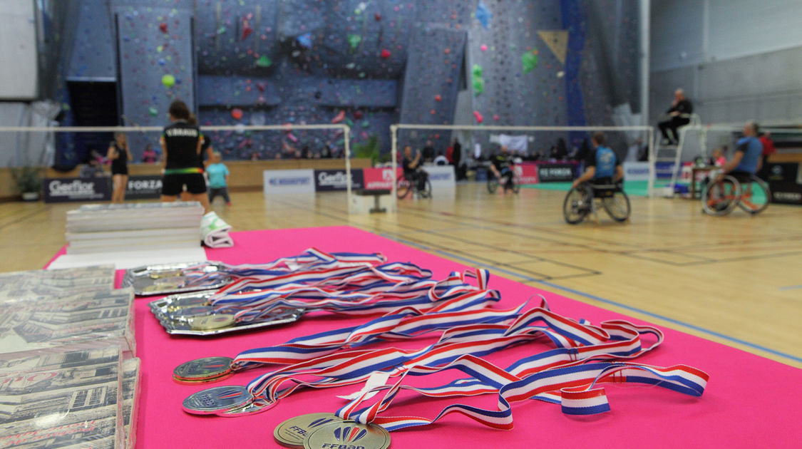 Du 20 au 22 janvier 2017 la halle des sports de Penhars accueillait les 4e championnats de France de parabadminton organisés par la section badminton de l Ujap (2)