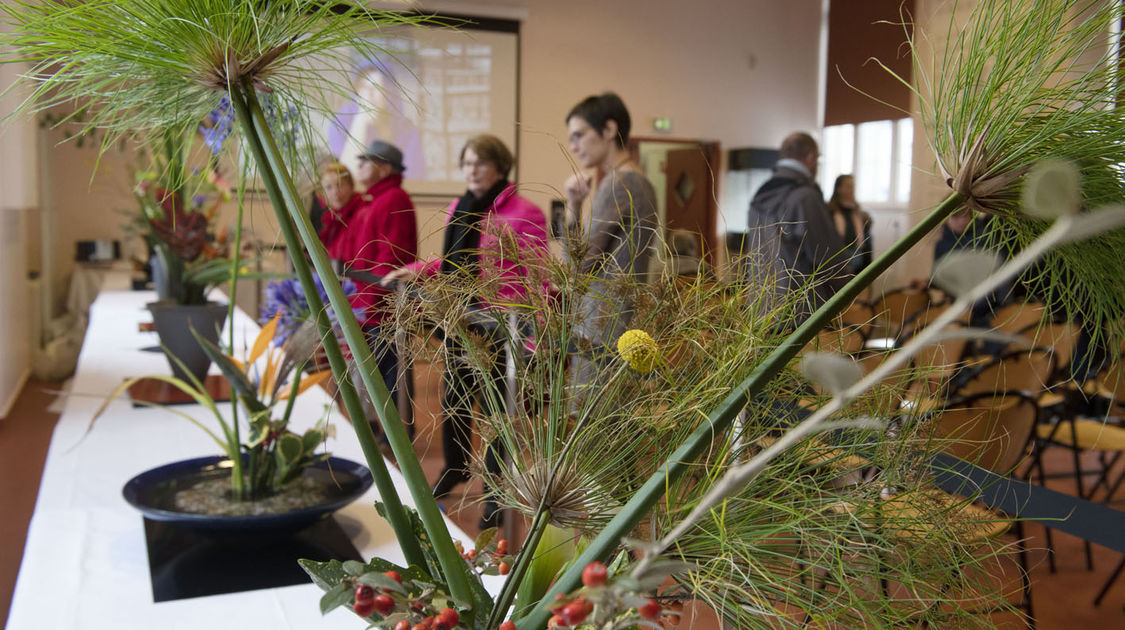 2e édition du salon Grandeur Nature consacré cette année aux bonsaï (19)